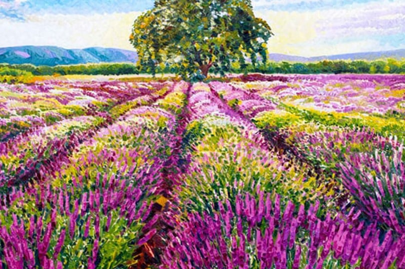 Athos Faccincani e la mostra Quando il colore si fa luce