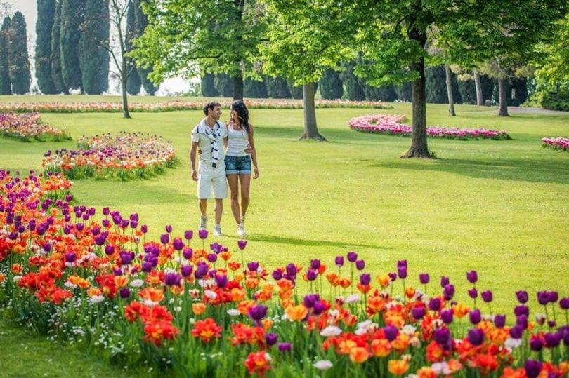 Tulipanomania 2025